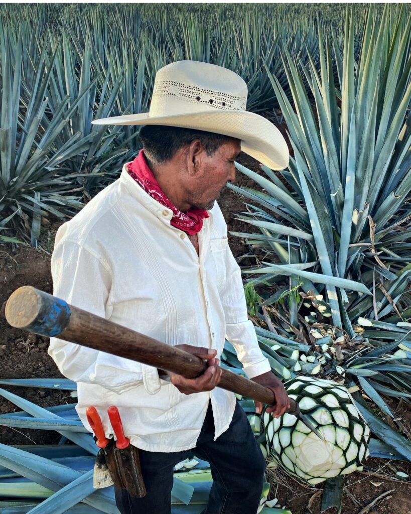 San Hagen Tequila photo 2