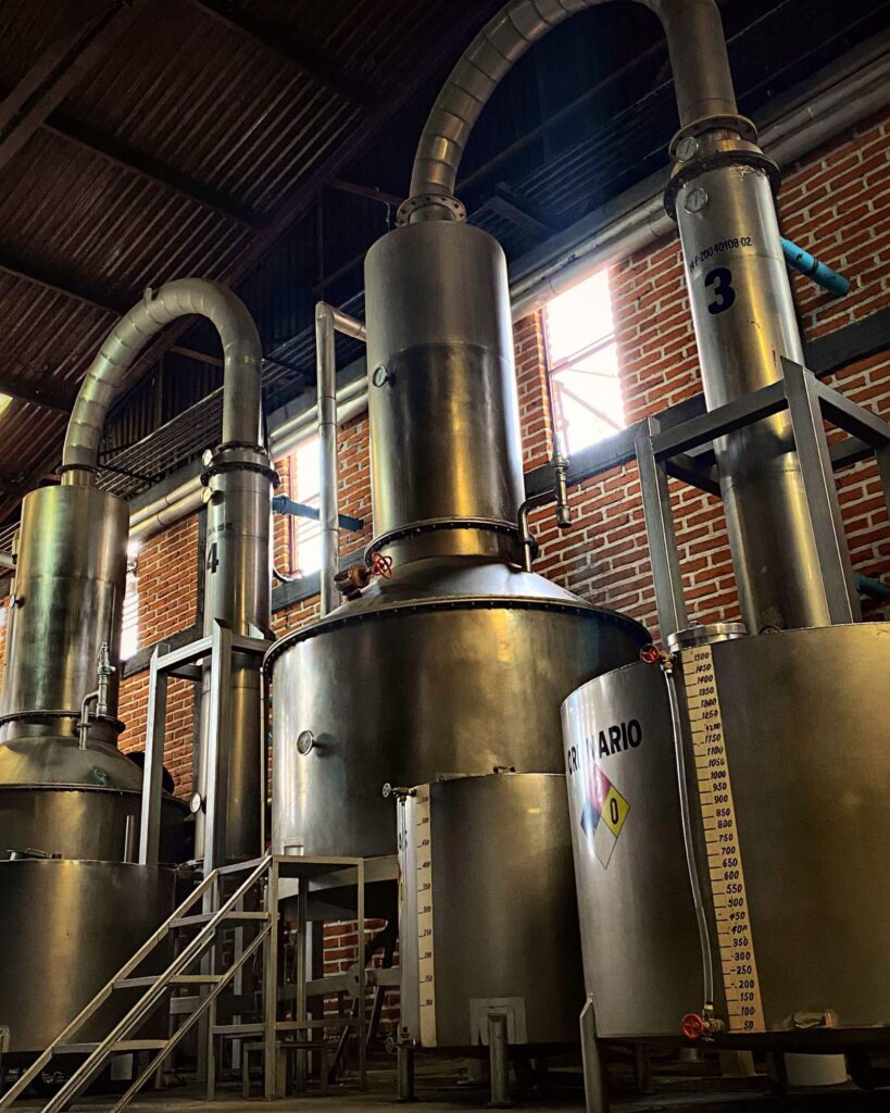 San Hagen Tequila photo 3