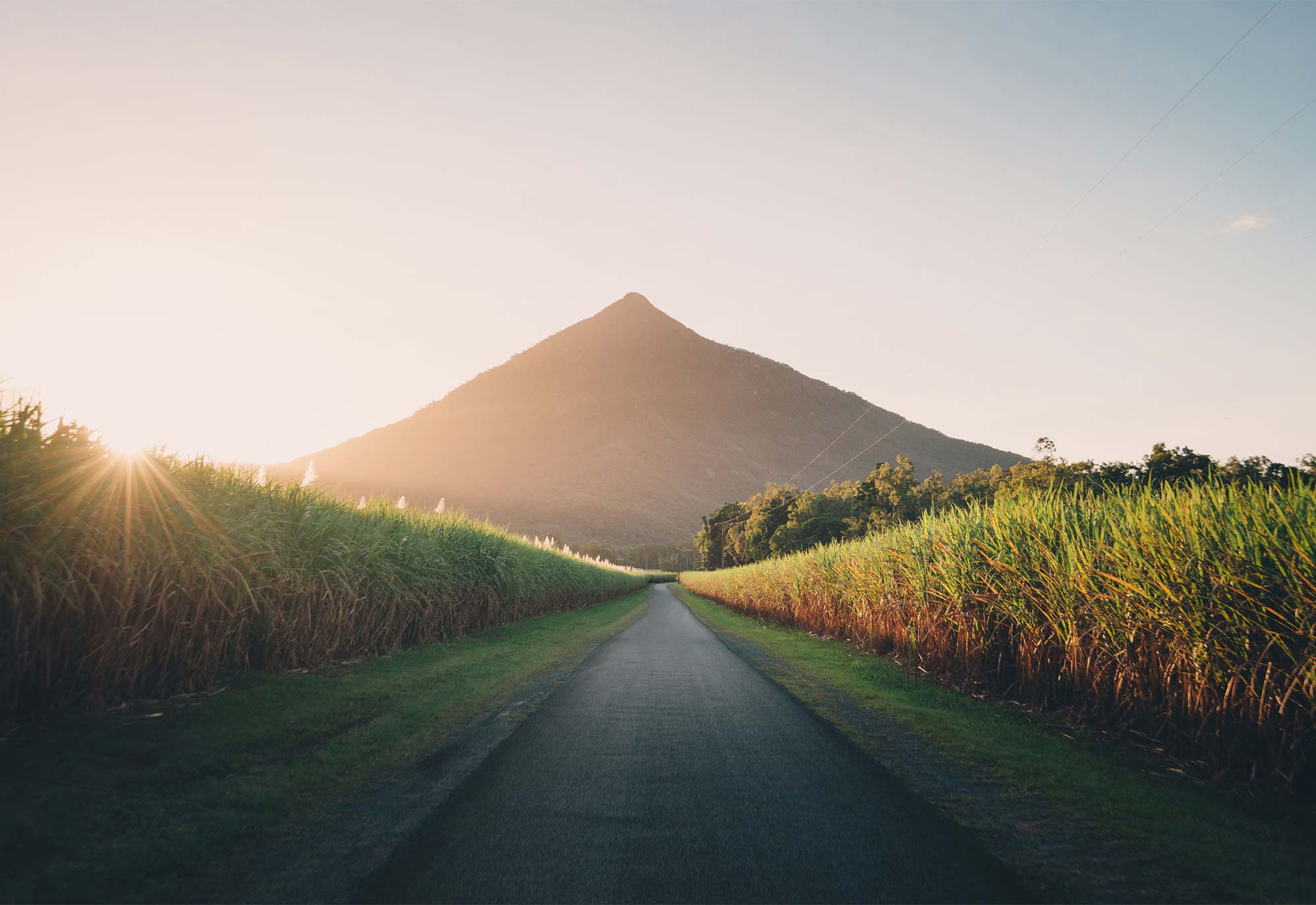 Roaming Road Spirits photo 2